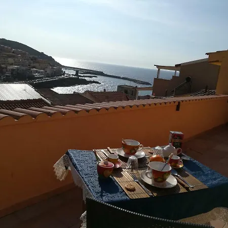 La Tzinnia *
